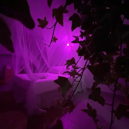 Appartamento Ga #124